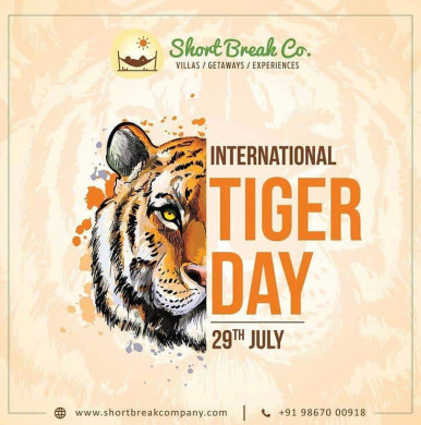 Tiger Day